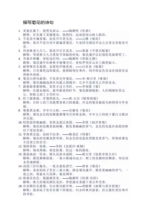 描写菊花的诗句