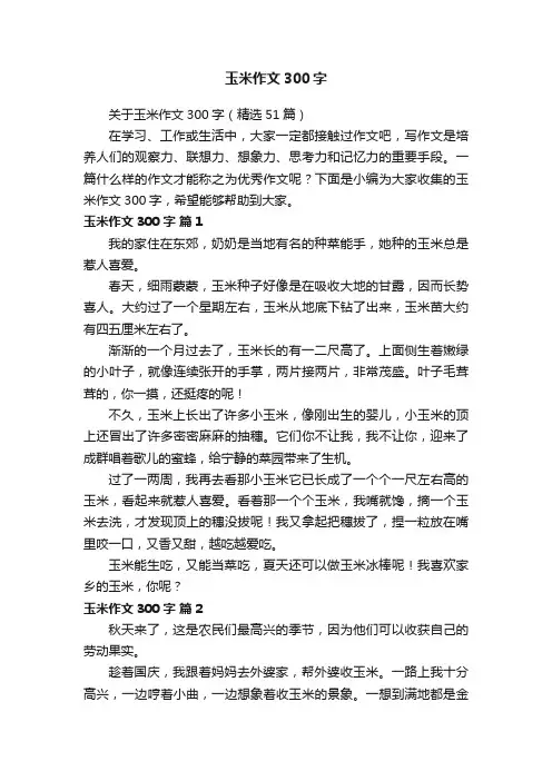 关于玉米作文300字（精选51篇）