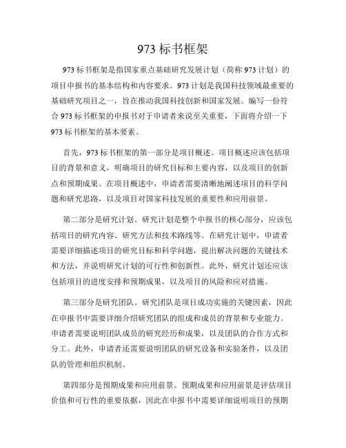 973标书框架
