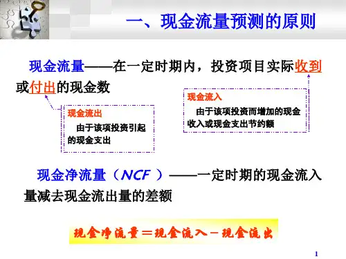 净现值与其他投资准绳ppt45页