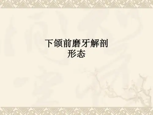 下颌前磨牙解剖形态ppt课件