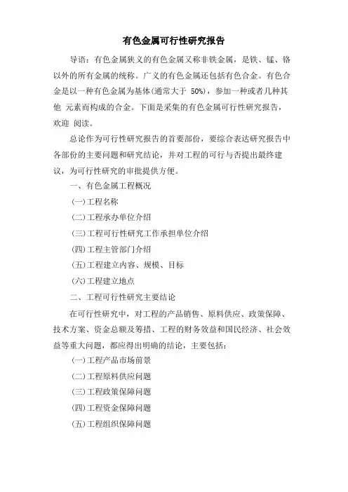 有色金属可行性研究报告(1)
