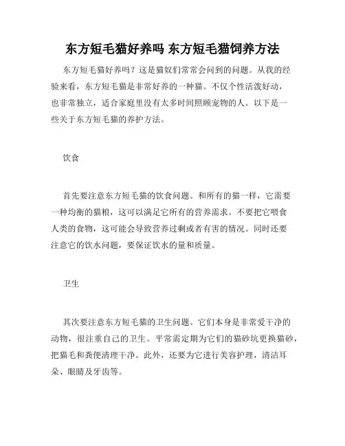 东方短毛猫好养吗 东方短毛猫饲养方法