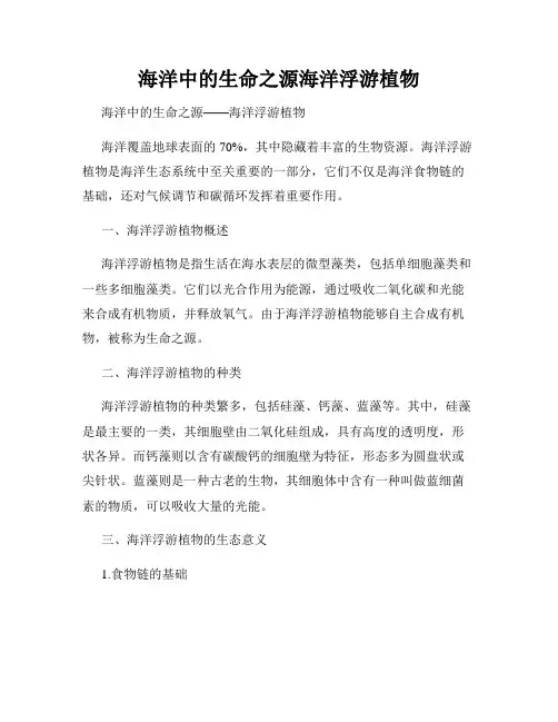 海洋中的生命之源海洋浮游植物