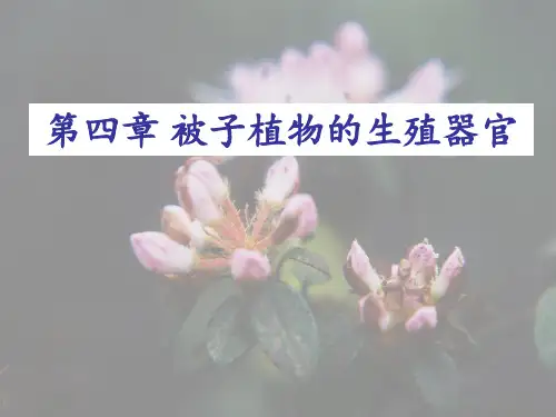2014-被子植物生殖器官——花-雌蕊和雄蕊-gwPPT课件