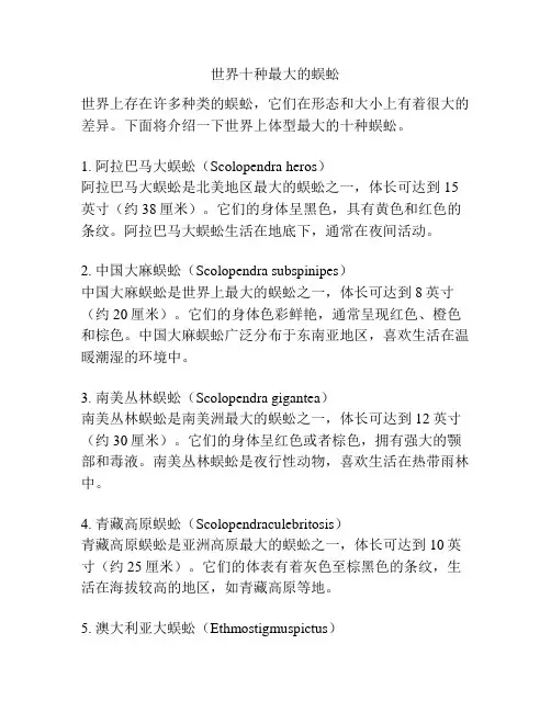世界十种最大的蜈蚣