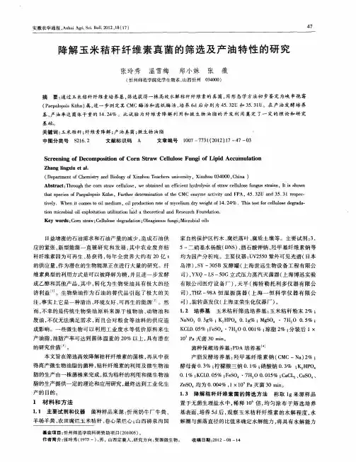 降解玉米秸秆纤维素真菌的筛选及产油特性的研究