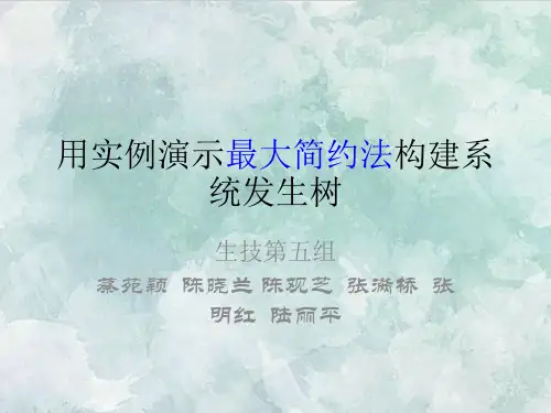 课件：用实例演示最大简约法构建系统发生树