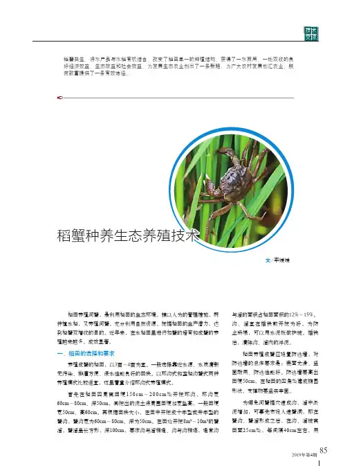 稻蟹种养生态养殖技术