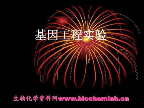 基因工程实验_biochemlab