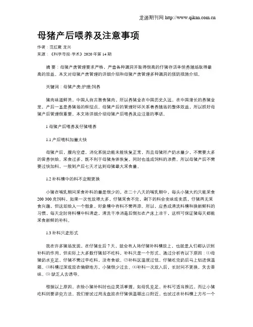 母猪产后喂养及注意事项