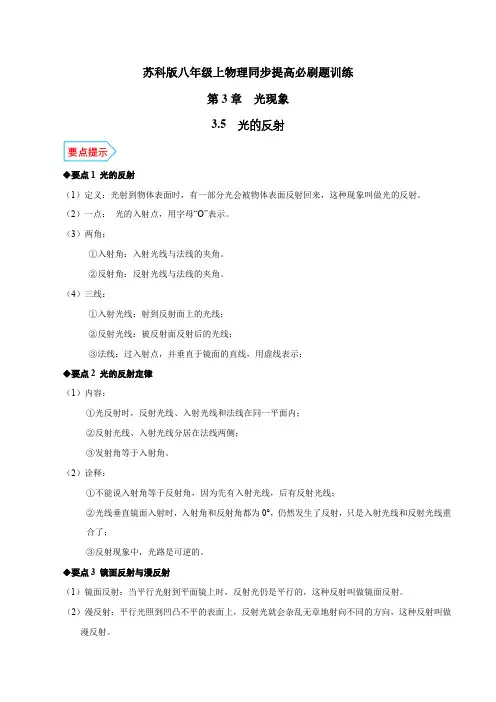 专题3.5光的反射(解析版)2023-2024学年八年级物理上册苏科版