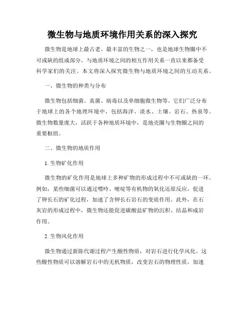 微生物与地质环境作用关系的深入探究