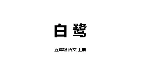 统编版五年级语文上册1白鹭课件(共38张PPT)
