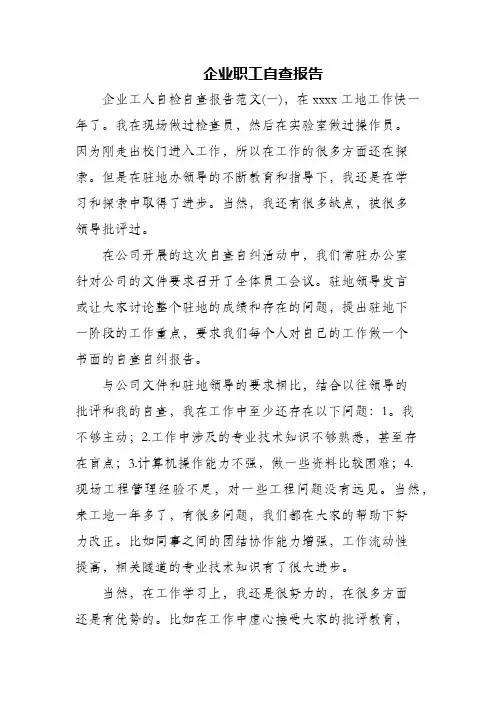 企业职工自查报告