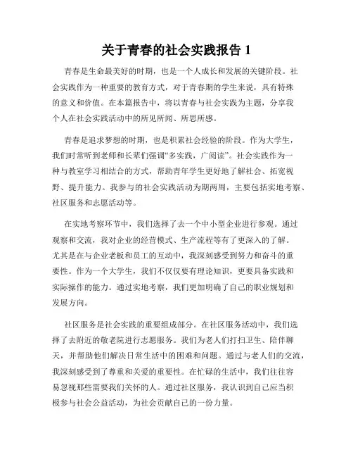 关于青春的社会实践报告1
