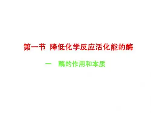 高考生物总复习一第5章