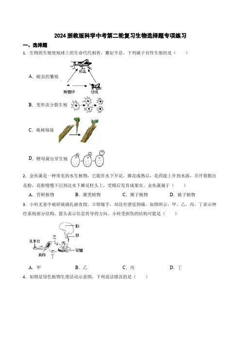 2024年浙教版科学中考第二轮复习：生物选择题专项练习