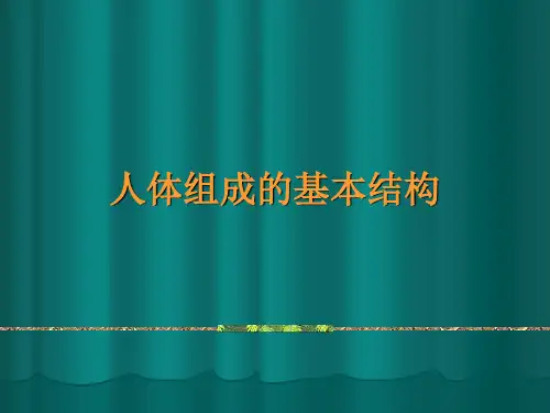 人体组成的基本结构 ppt课件