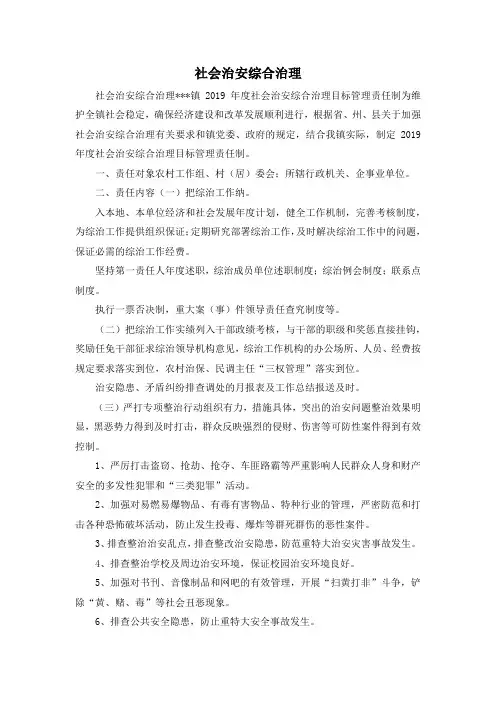 最新-社会治安综合治理 精品