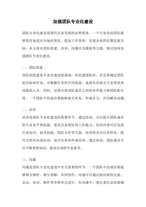 加强团队专业化建设