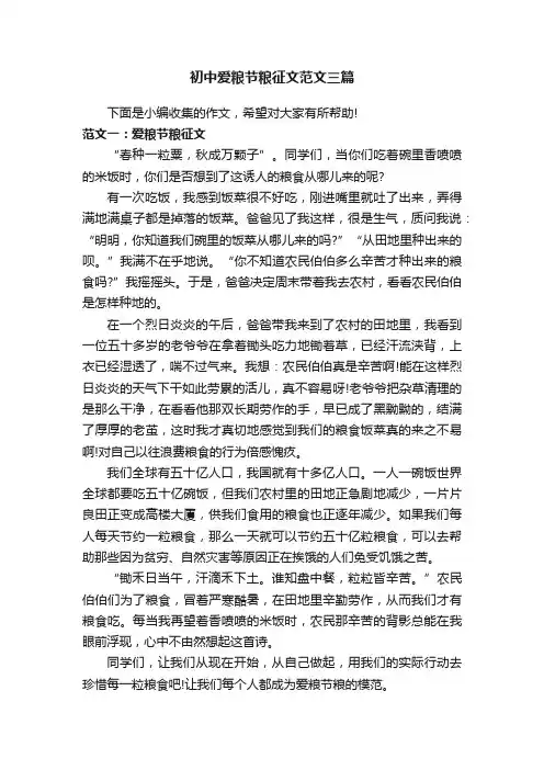 初中爱粮节粮征文范文三篇