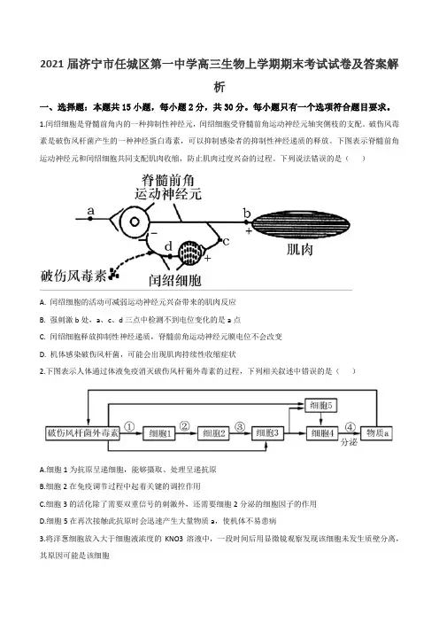2021届济宁市任城区第一中学高三生物上学期期末考试试卷及答案解析