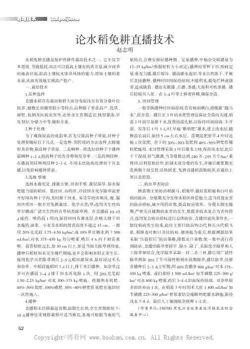 论水稻免耕直播技术