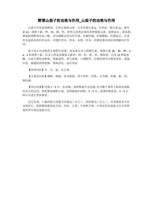 野菜山茄子的功效与作用_山茄子的功效与作用