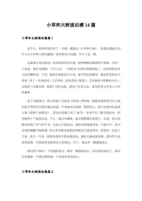 小草和大树读后感14篇
