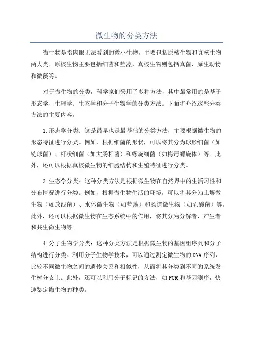 微生物的分类方法