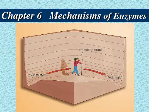 生物化学英文课件Chapter6 Mechanisms of Enzymes