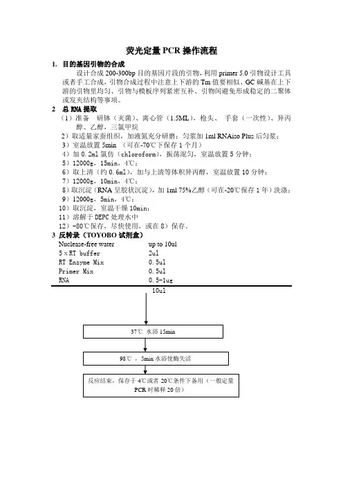 荧光定量PCR操作流程