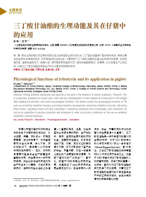 三丁酸甘油酯的生理功能及其在仔猪中的应用