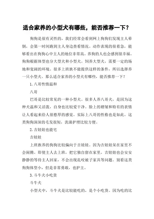 适合家养的小型犬有哪些,能否推荐一下？