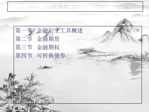 第二章--金融衍生工具ppt课件(全)
