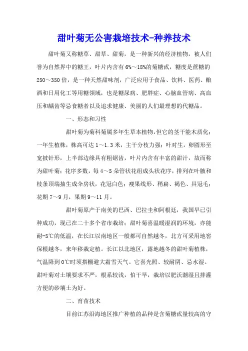 甜叶菊无公害栽培技术 - 种养技术