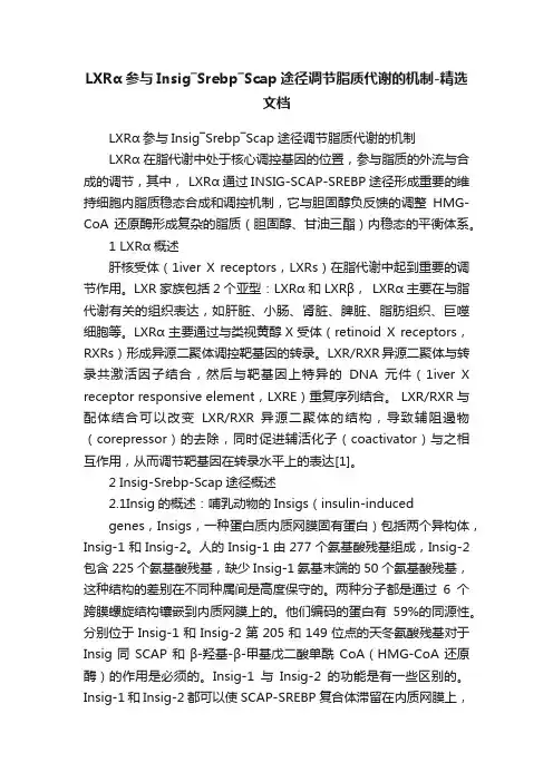 LXRα参与Insig―Srebp―Scap途径调节脂质代谢的机制-精选文档