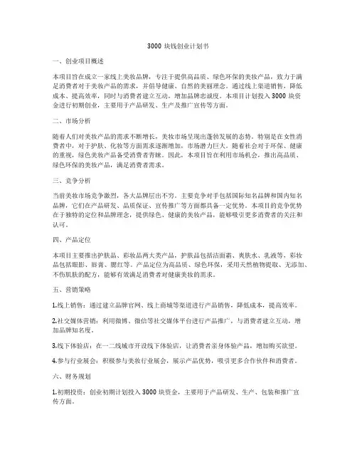 3000块钱创业计划书