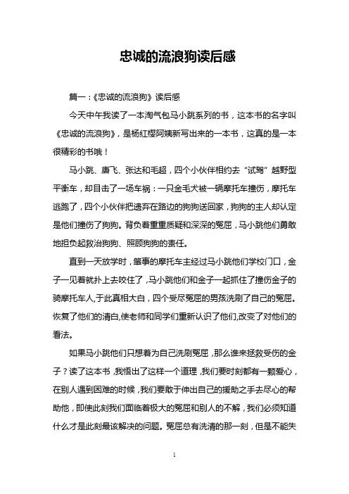 忠诚的流浪狗读后感