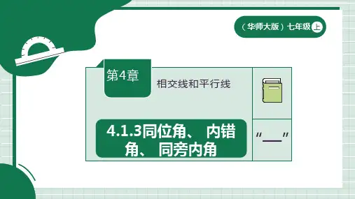 4.1.3同位角、+内错角、+同旁内角+课件+-2024-2025学年华东师大版七年级数学上册+
