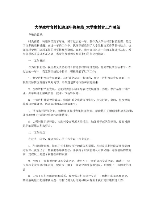 大学生村官村长助理年终总结_大学生村官工作总结