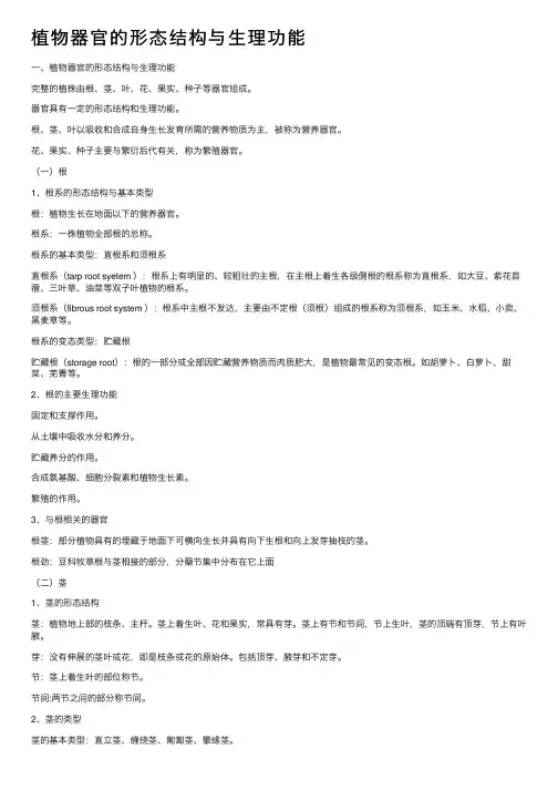 植物器官的形态结构与生理功能