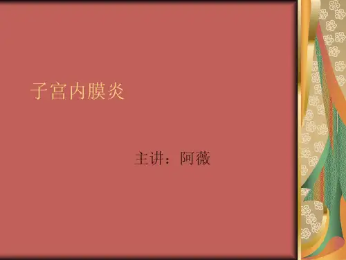 子宫内膜炎