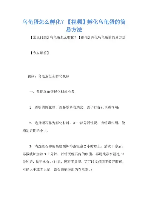 乌龟蛋怎么孵化？【视频】孵化乌龟蛋的简易方法