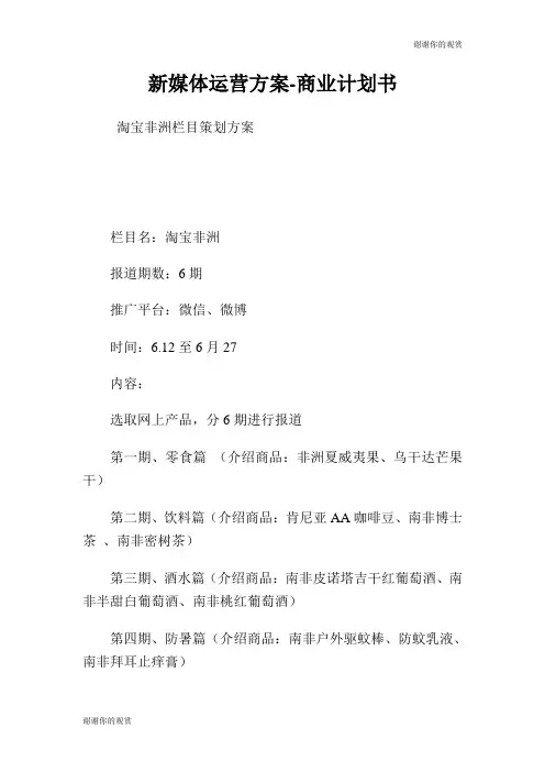 新媒体运营方案商业计划书.doc