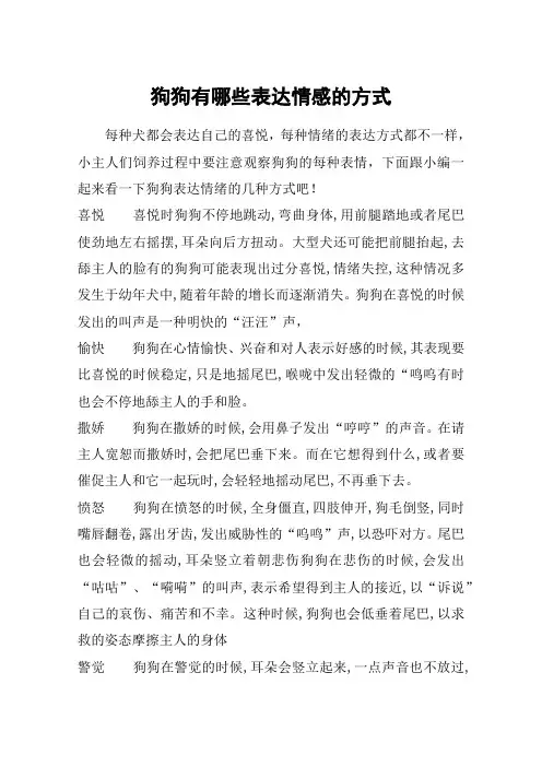 狗狗有哪些表达情感的方式