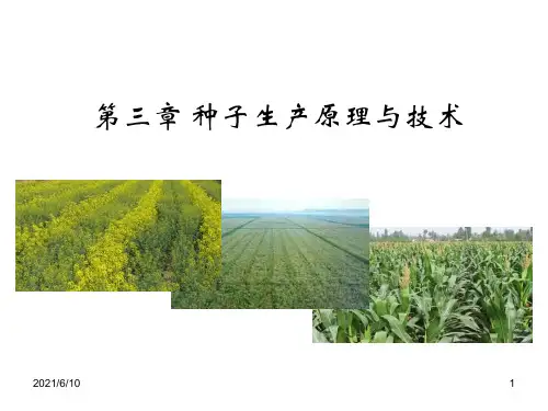 【学习课件】第三章种子生产原理与技术