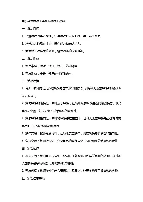 中班科学活动《奇妙的磁铁》教案