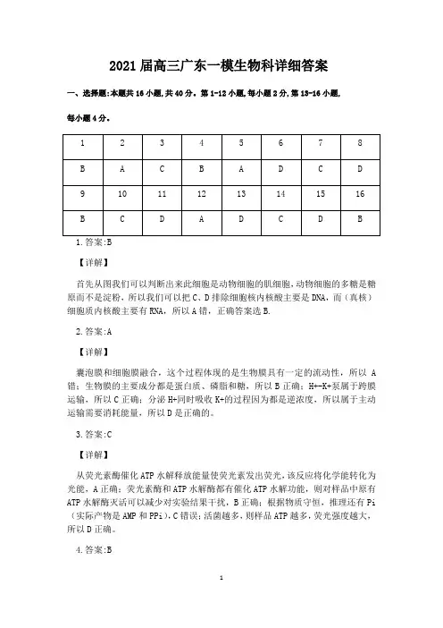 2021届高三广东一模生物科详细答案